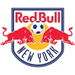 Redbull-new-york